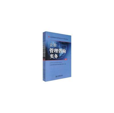 企業(yè)管理咨詢實(shí)務(wù)(全兩冊(cè))圖片-